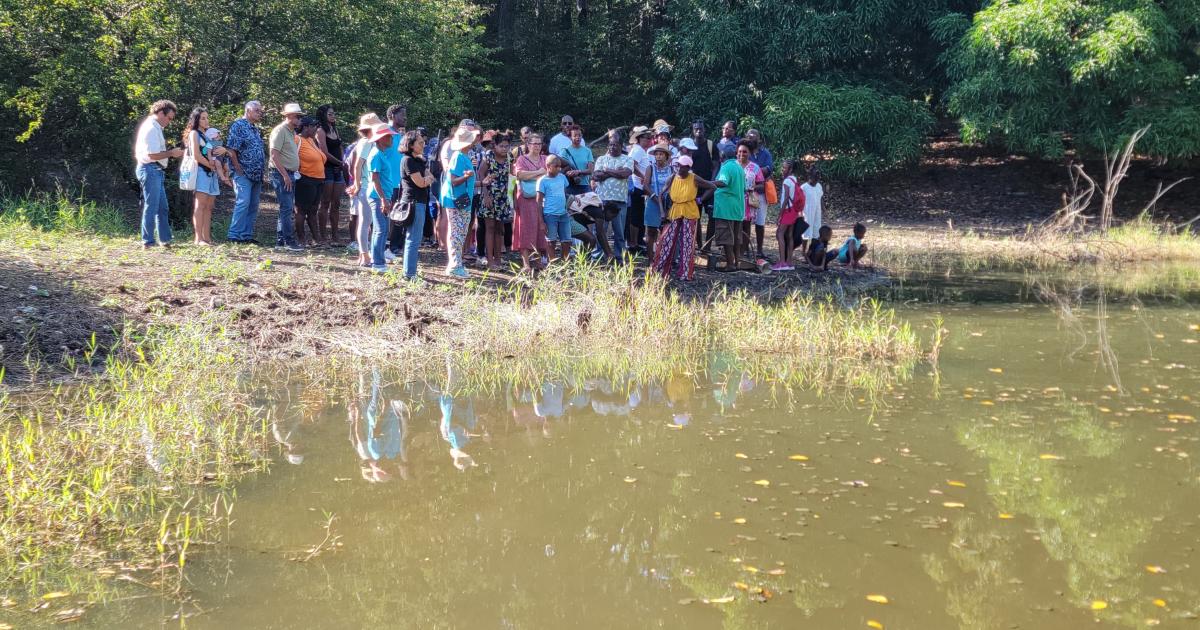     Le rôle clé de l’eau dans l’industrie sucrière, visite guidée à Beauport, Pays de la canne

