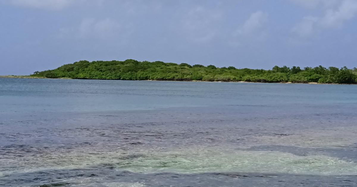     Une bouteille confondue avec un obus à Port-Louis

