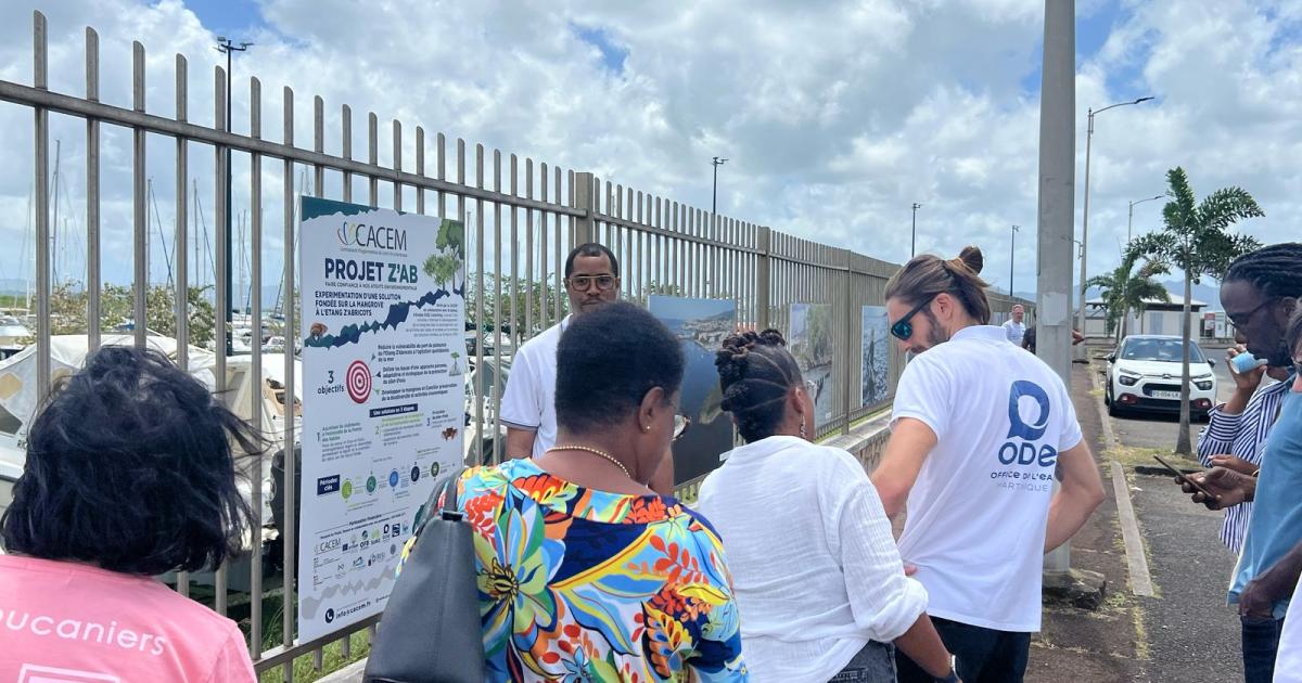     Un projet expérimental pour protéger le port de plaisance de l’Etang Z’Abricots, à Fort-de-France

