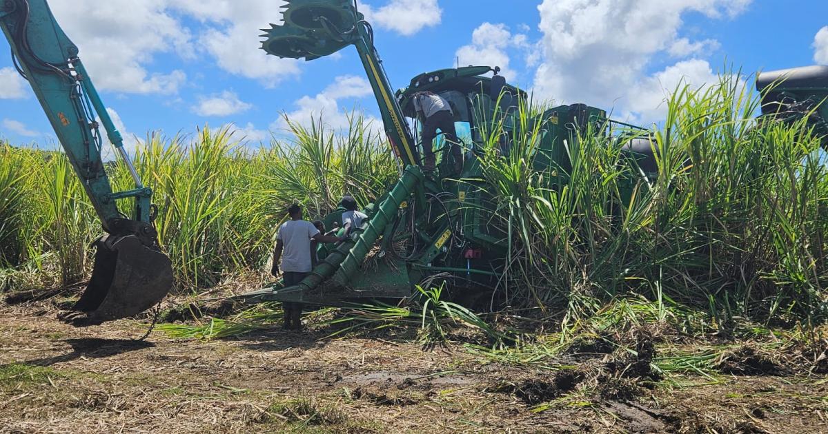     [EN IMAGES] Coup d’envoi difficile pour la campagne sucrière en Martinique

