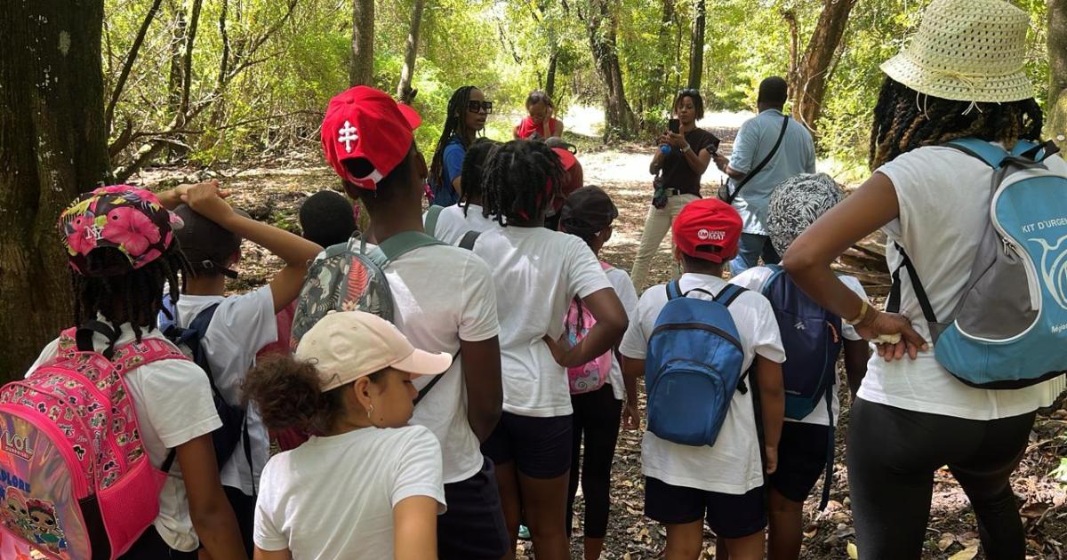     Semaine académique du créole : les élèves ont découvert la mangrove de Morne Cabri

