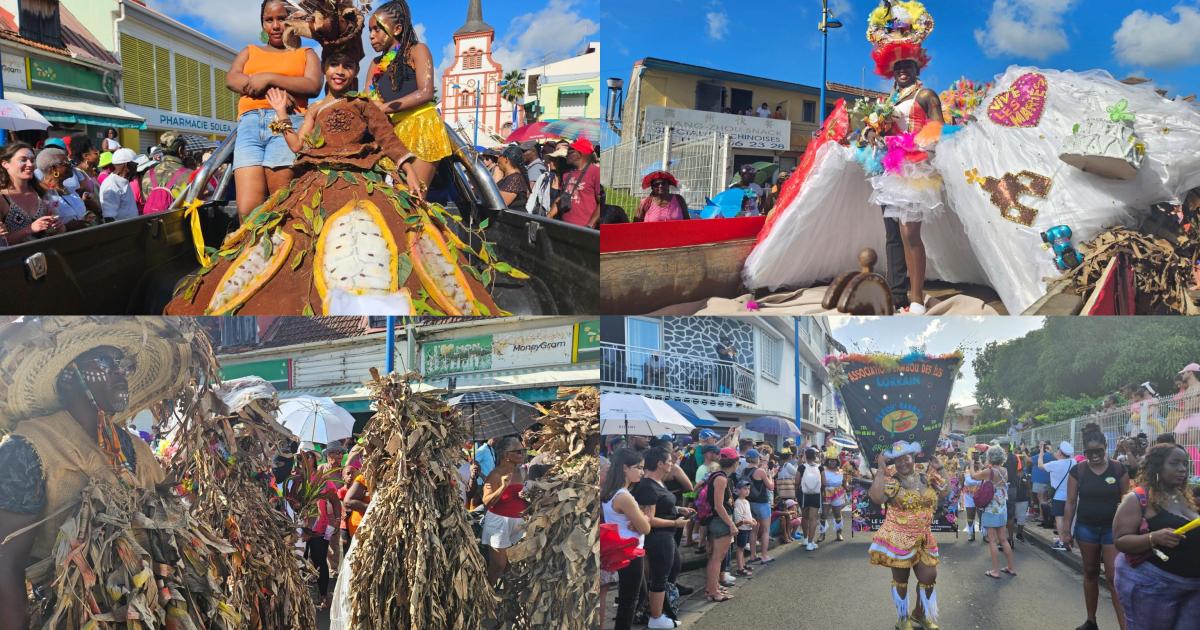     Plus de 15 000 personnes à la Grande Parade du Sud de Ducos  ! 

