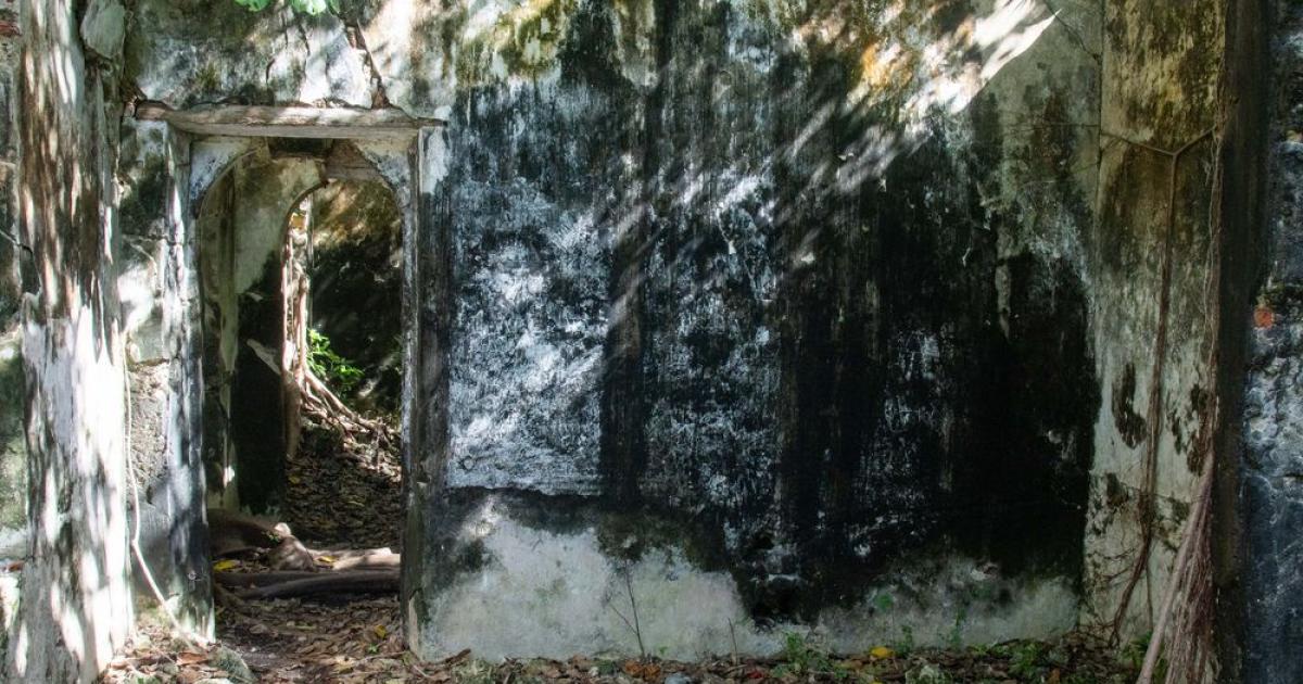     Mémoire, patrimoine et agriculture, la CANGT travaille ses atouts

