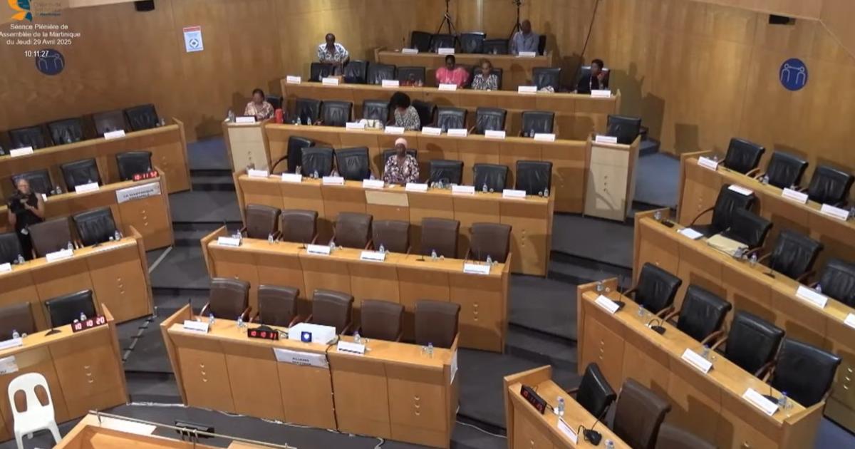     CTM : la plénière du mois d'avril est repoussée faute de quorum

