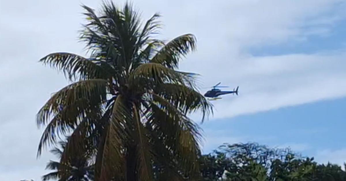     Importante saisie de cigarettes de contrebande à Capesterre-Belle-Eau

