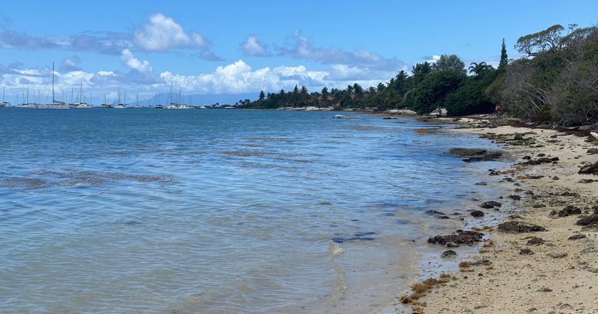     Saint-François : baignade interdite à la Coulée jusqu’à nouvel ordre

