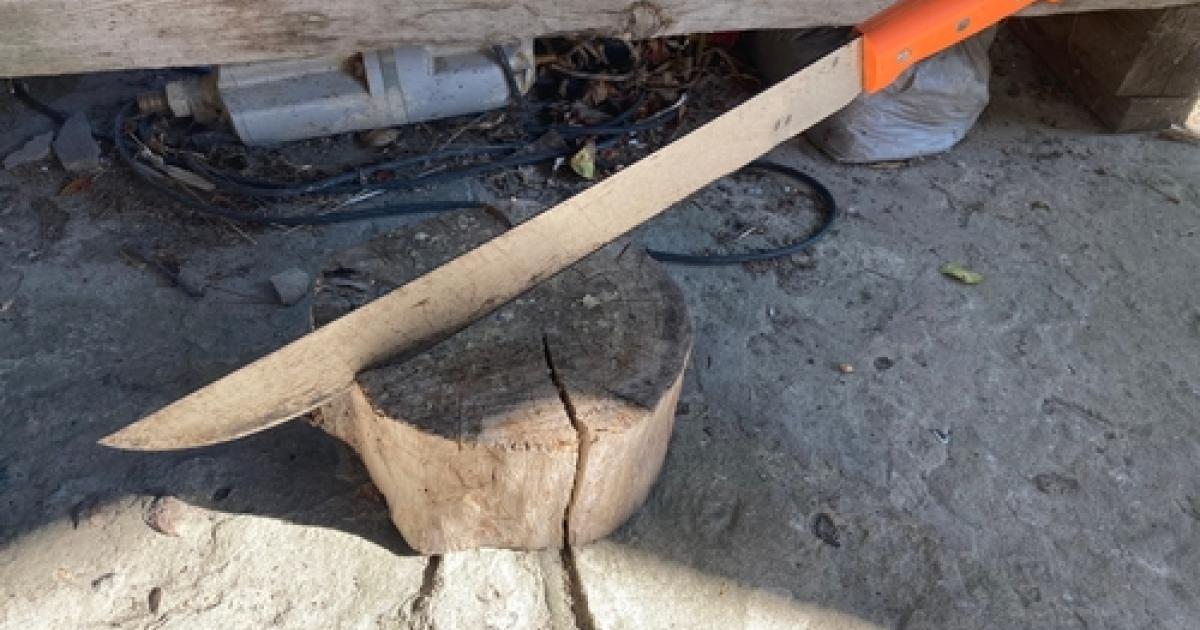     A Mayotte, la vente et le port de machettes interdits sans motif légitime

