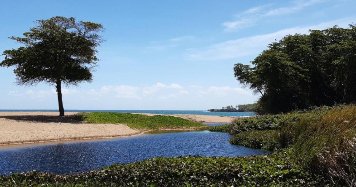     Le projet Nogent du Parc national de la Guadeloupe lauréat du programme « Mission Nature 2025 »

