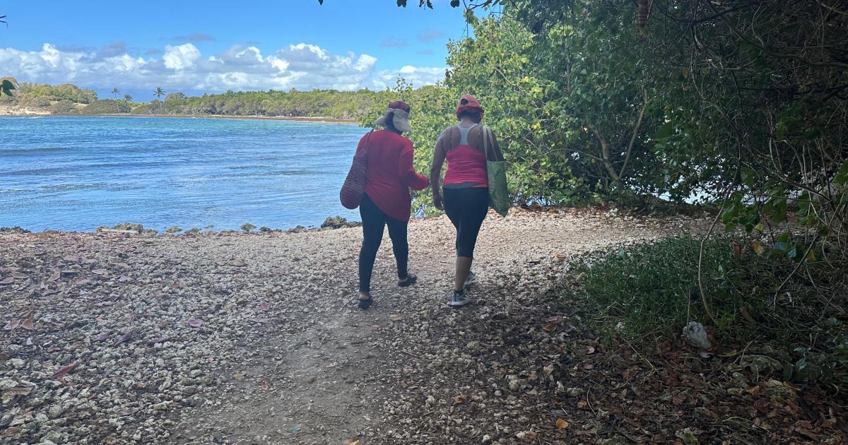     Les joggeuses se sentent-elles en sécurité en Guadeloupe ?

