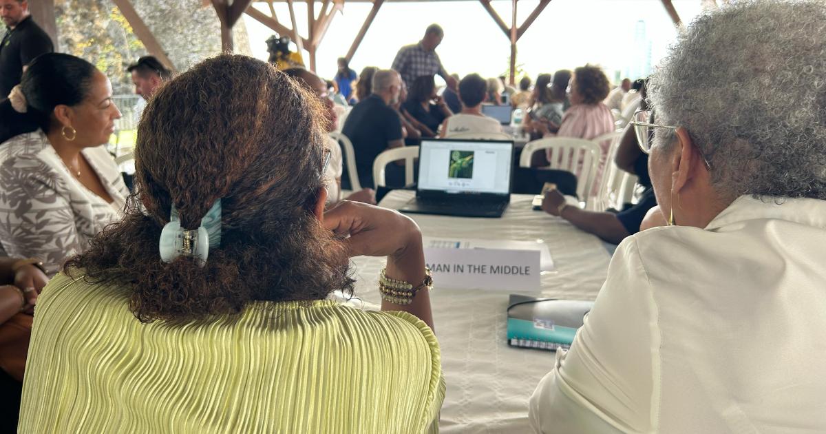     Un séminaire sur la cybersécurité organisé à  Fort-de-France

