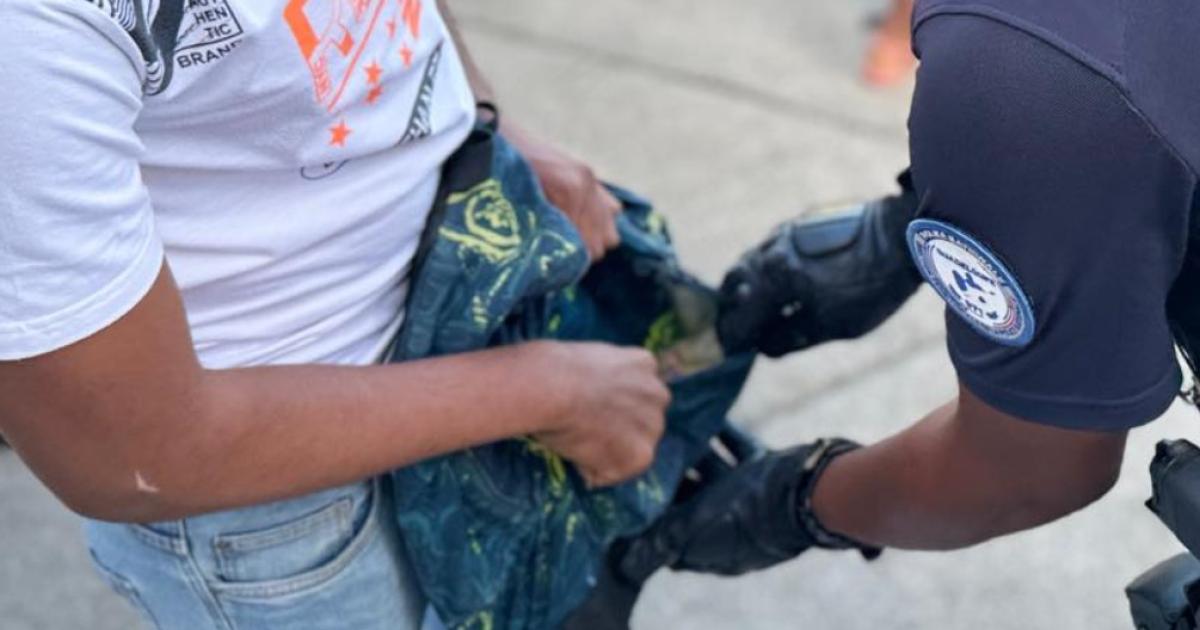     Les fouilles se multiplient aux abords des établissements scolaires

