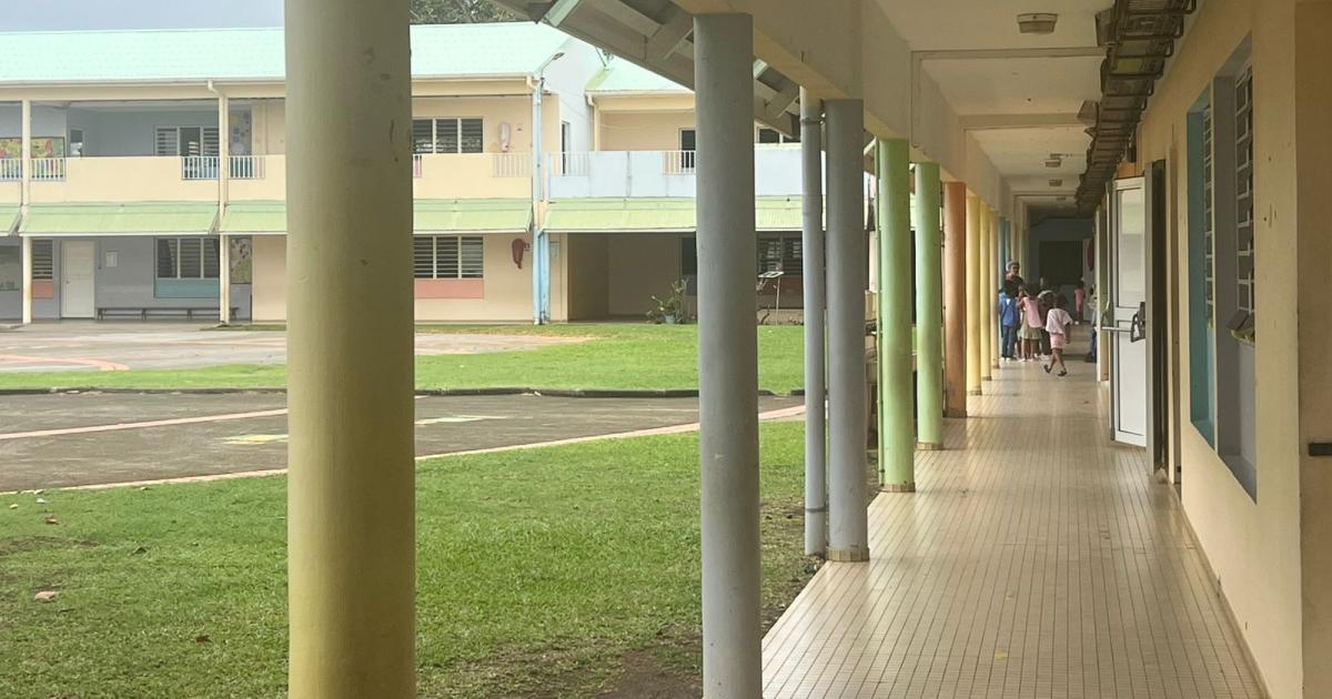     Fermée à cause des sargasses, l'école François Duval a rouvert au François

