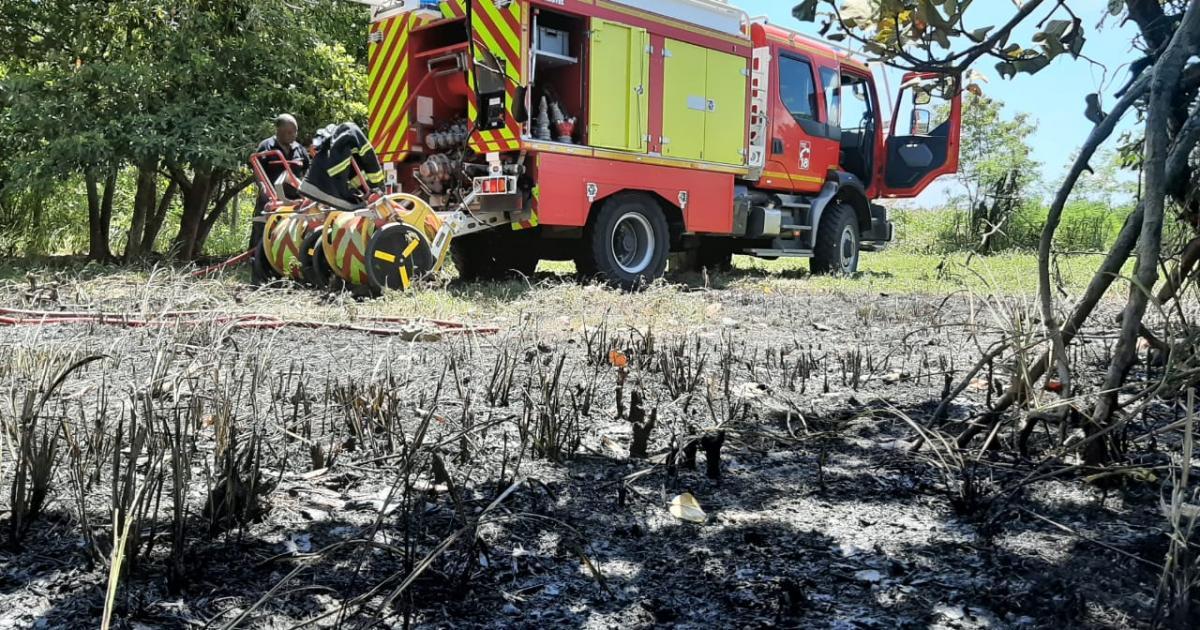     Un champ de canne en feu au François 

