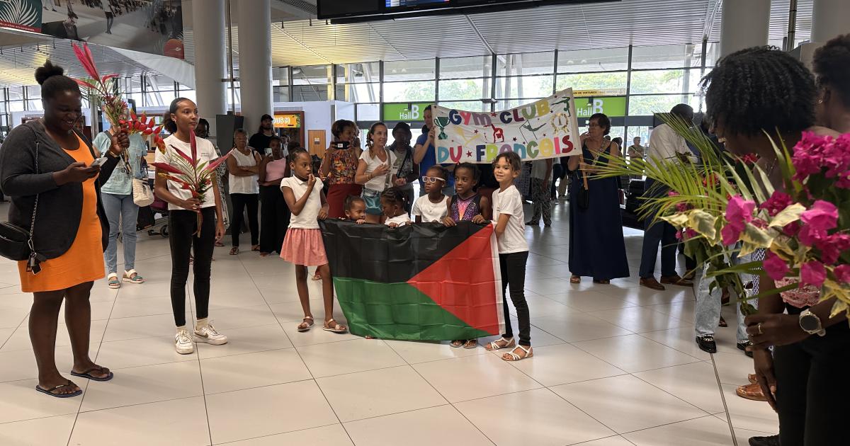     Championnes de France, les jeunes gymnastes de retour en Martinique 

