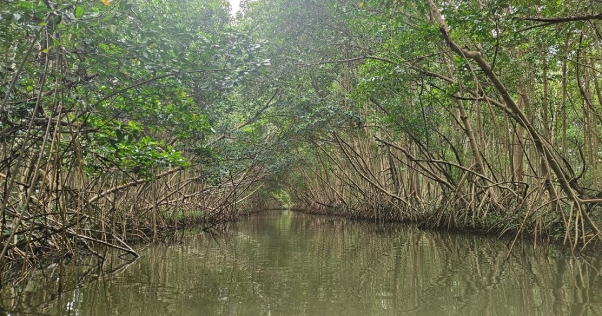     Deux blessés légers dans un accident de bateau nocturne à Morne-à-l'Eau

