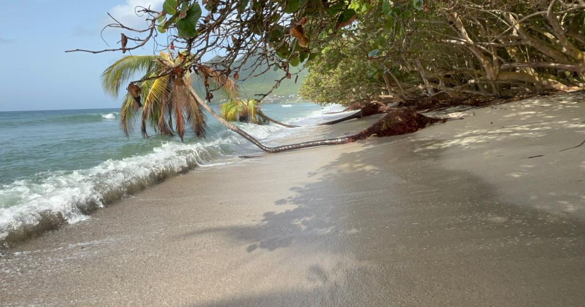     La Martinique, meilleure destination pour les vacances ?

