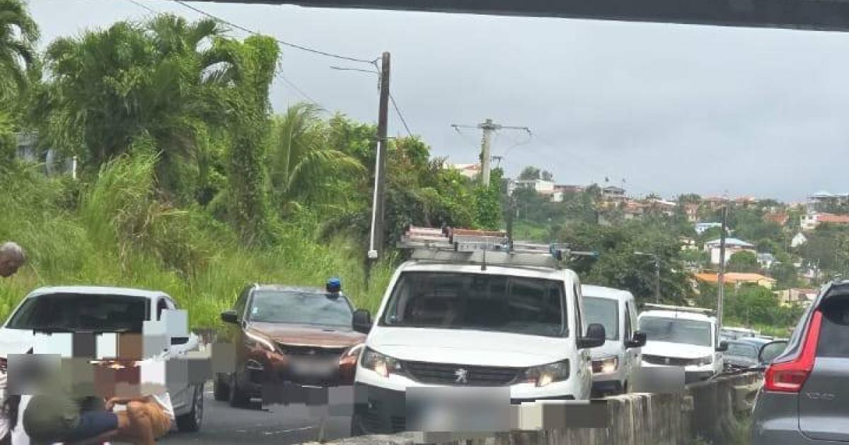     Une jeune femme gravement blessée après avoir chuté d’un pont à Ducos

