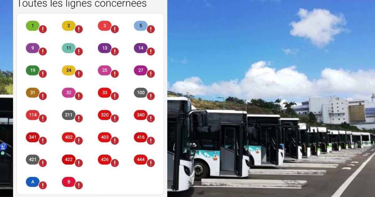     Forte perturbation du réseau Centre en raison du blocage des dépôts de bus

