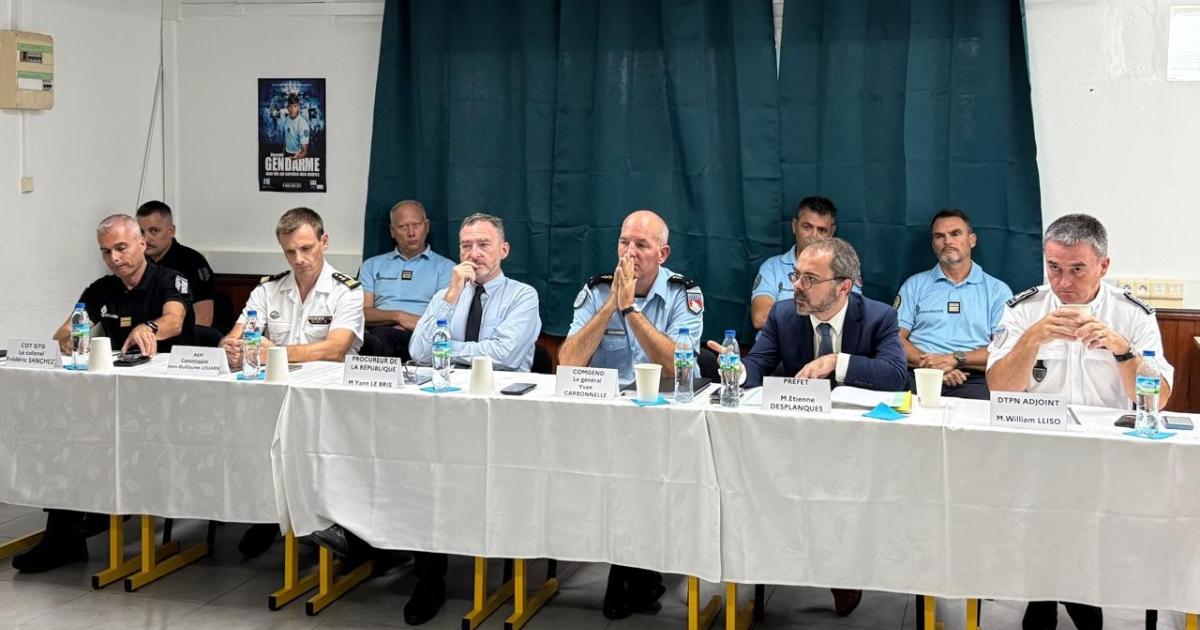     Opération Scotopelia : plus de 1 000 cartouches interceptées et près de 30 interpellations

