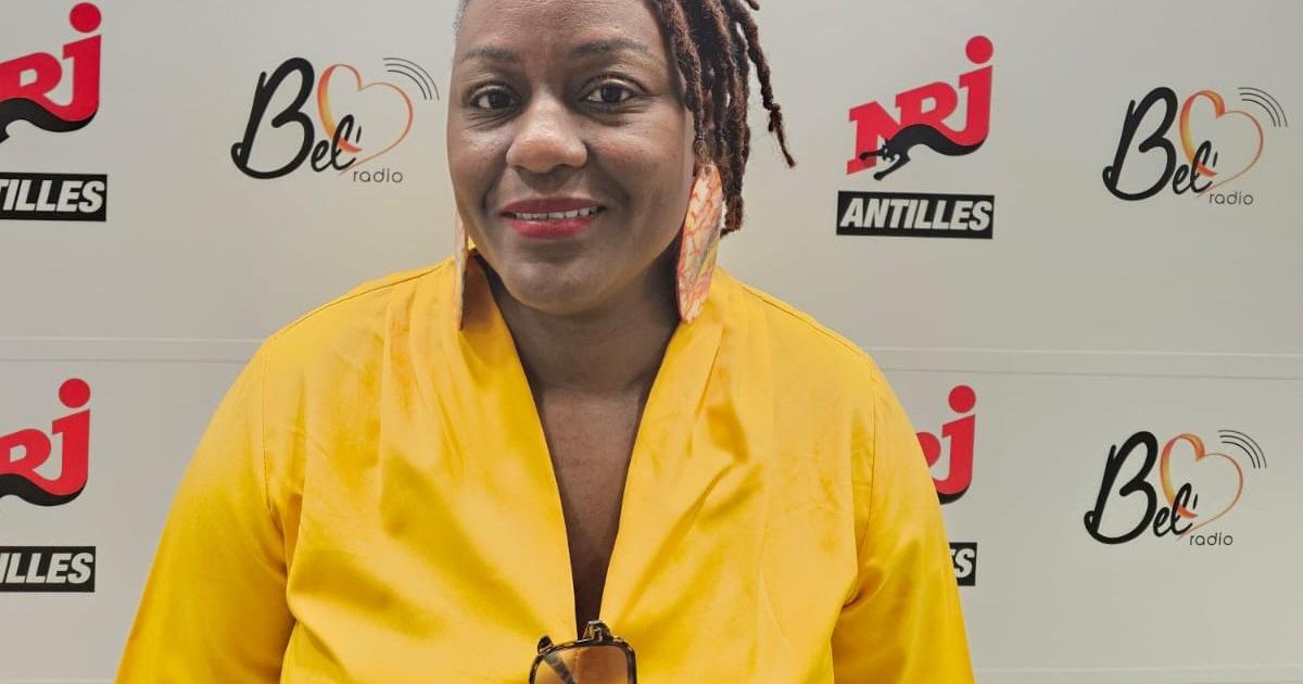     L’association Oliwon Lakarayib partage l’histoire de la Martinique autrement 

