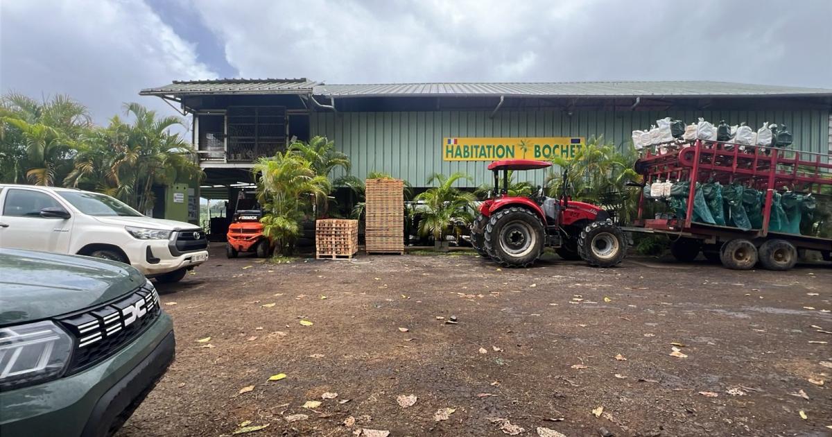    Une femme décède en plein travail à l'habitation Bochette au Lamentin

