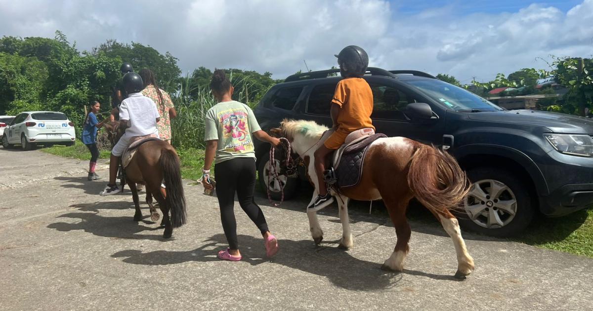     Caribbean Rotary Horse Cup, entre compétition et inclusion

