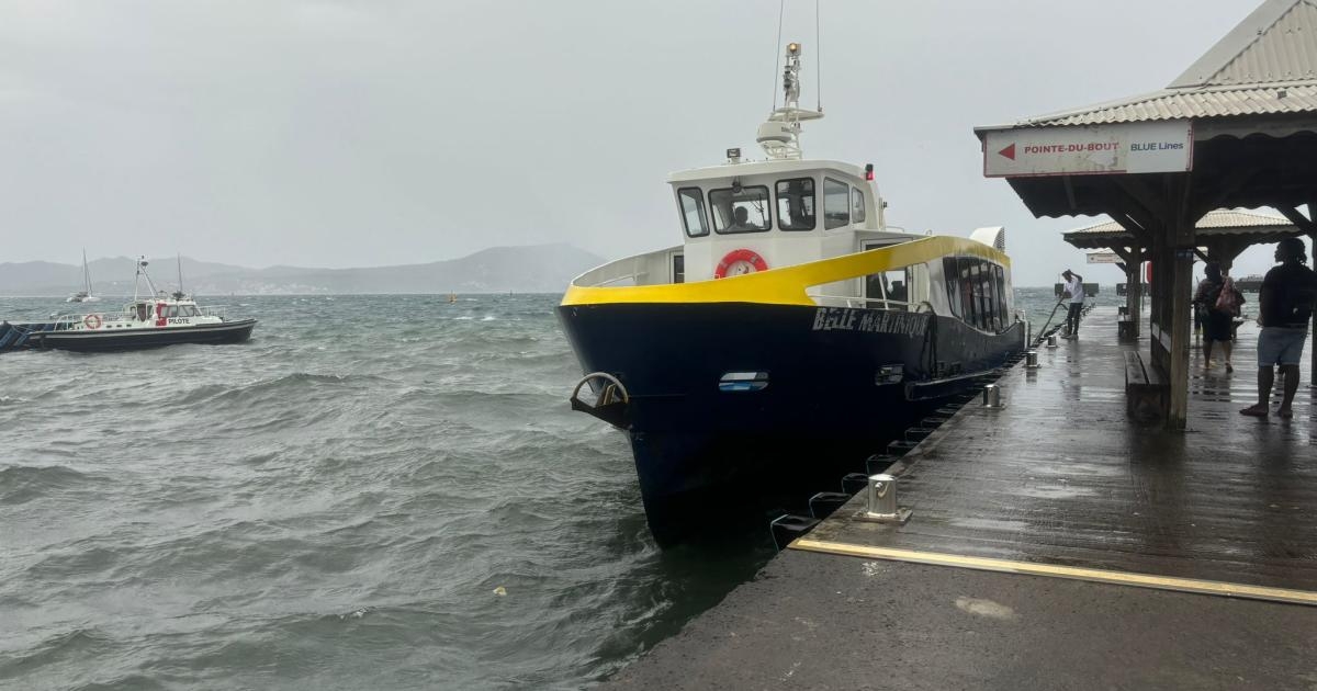     Trafic maritime toujours perturbé : la houle maintient les navettes à l’arrêt

