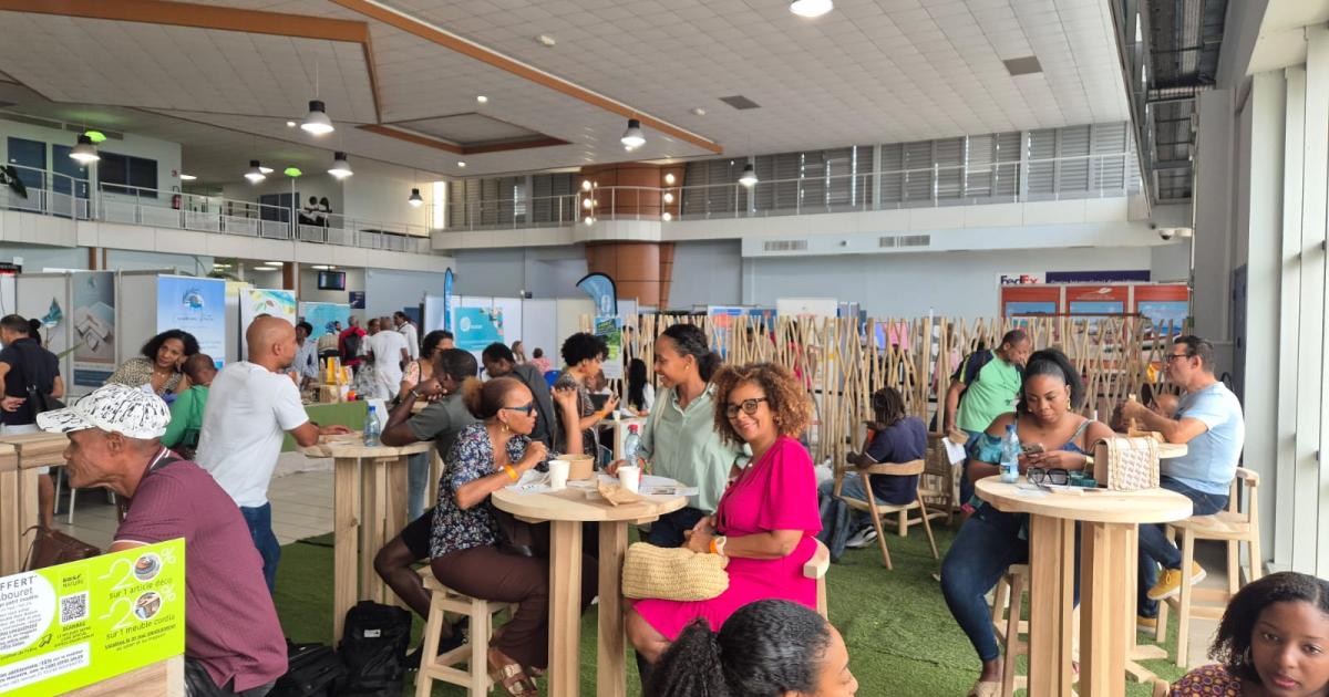     Le secteur du meublé de tourisme se structure en Martinique

