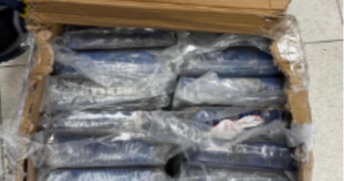     244 kilos de cocaïne retrouvés dans un conteneur au milieu de cartons de rhum en provenance de Martinique

