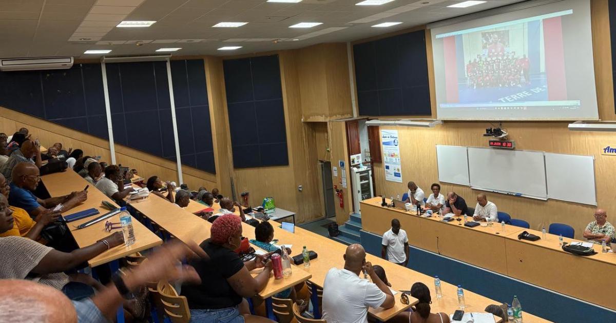     Handball : le conseil d’administration de la Ligue de Martinique est révoqué

