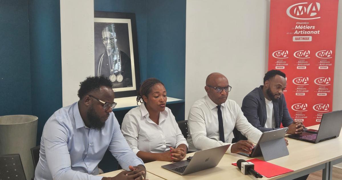     Le cri de colère des artisans coiffeurs de Martinique contre la concurrence déloyale

