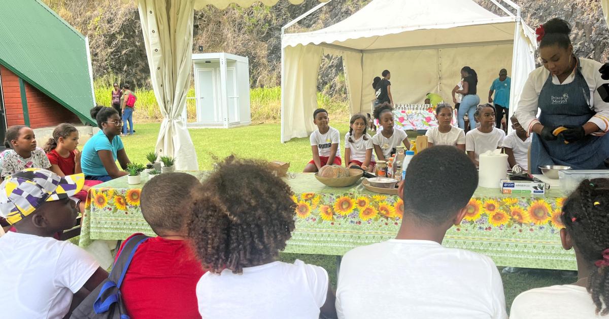     « Farin Matinik », un projet pour sensibiliser les scolaires à l’alimentation locale

