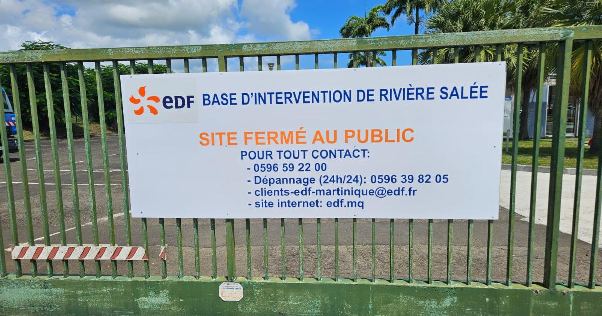     Grève à EDF Martinique, les agents mobilisés contre la réforme des retraites

