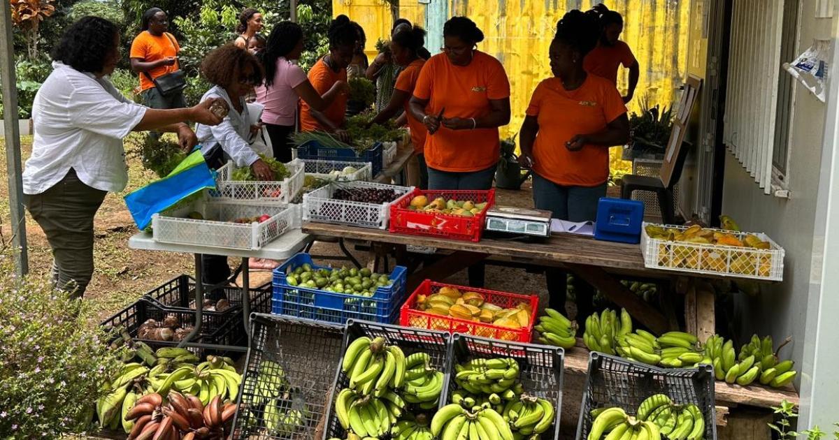     A Saint-Joseph, la ferme solidaire de Rosière allie production locale et insertion sociale

