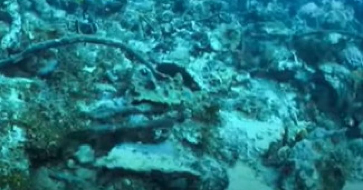     Mouillage d'un yacht en Guadeloupe : une enquête ouverte pour destruction d'espèces protégées

