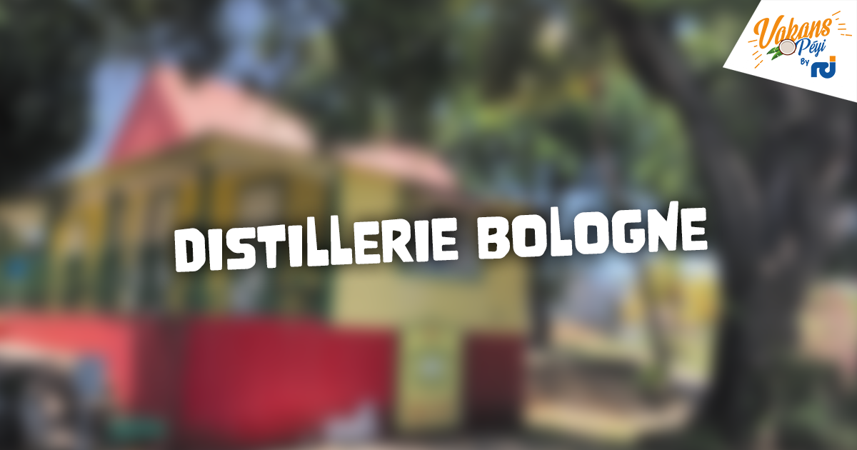     Découvrez la Distillerie Rhum Bologne pendant vos Vakans O Péyi

