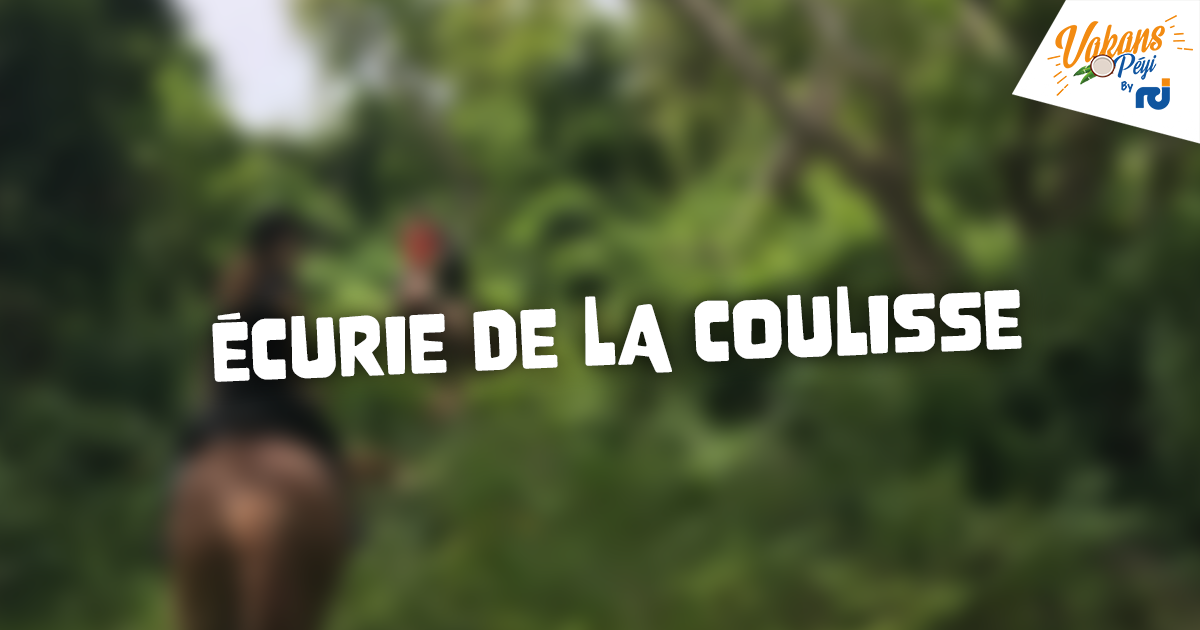     Balades à cheval aux Écuries de la Coulisse – Vakans O Péyi

