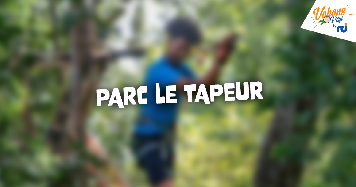     Aventure accrobranche au Parc Le Tapeur

