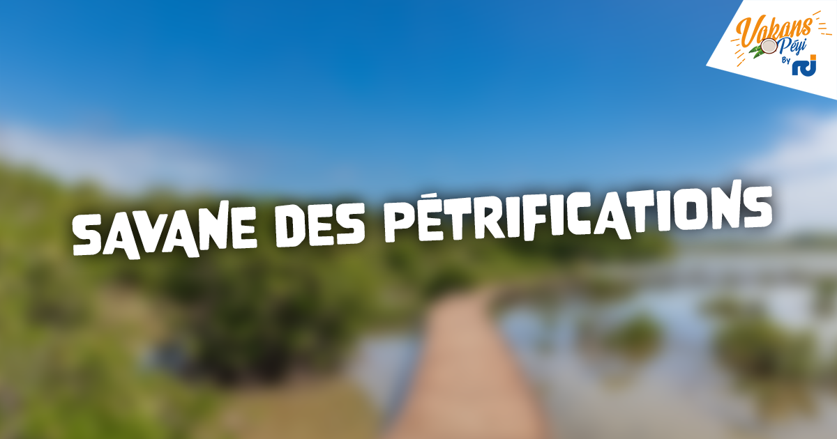     À la découverte de la Savane des Pétrifications

