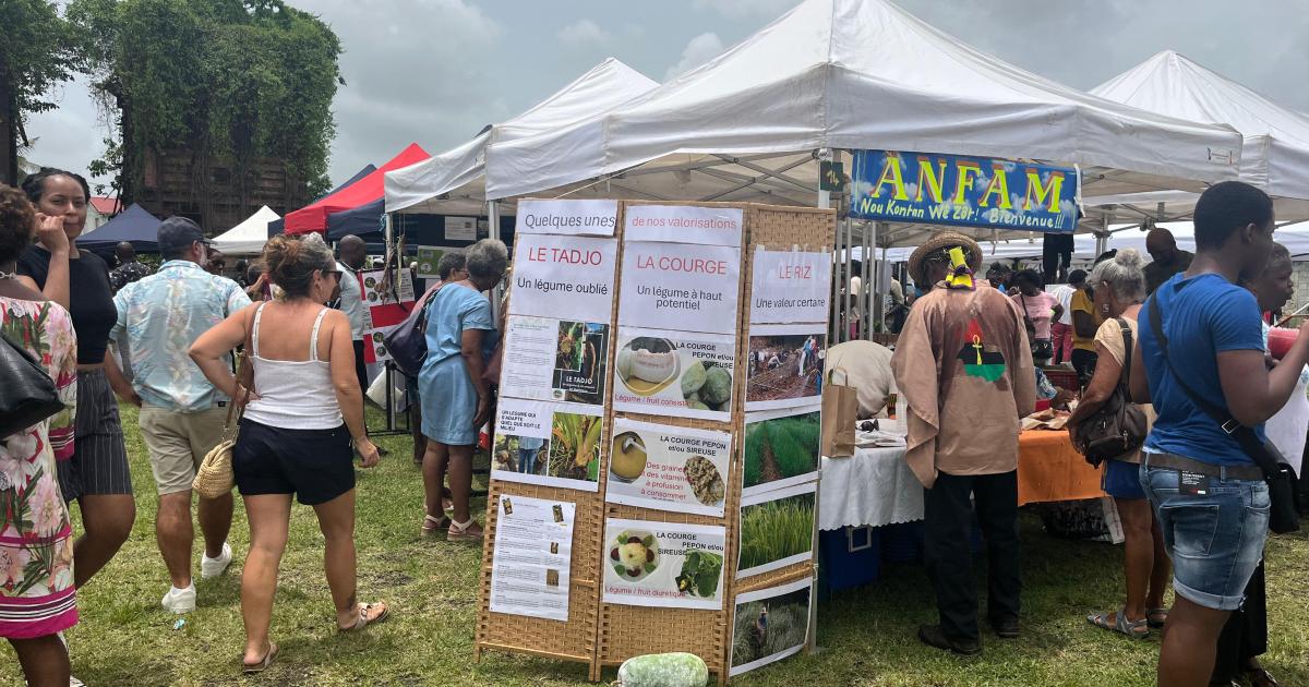     A Rivière-Salée, le Village de la souveraineté valorise les savoir-faire martiniquais


