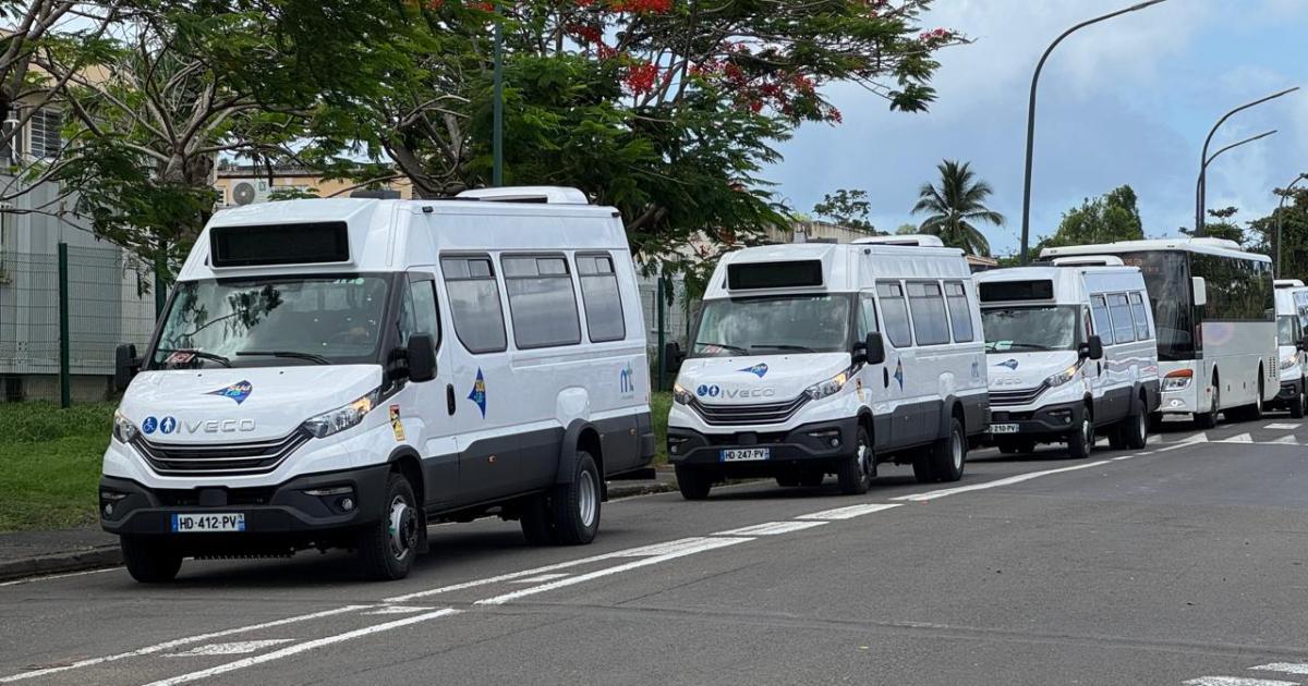    SudLib : des bus neufs sur les routes, mais une amélioration encore timide pour les usagers

