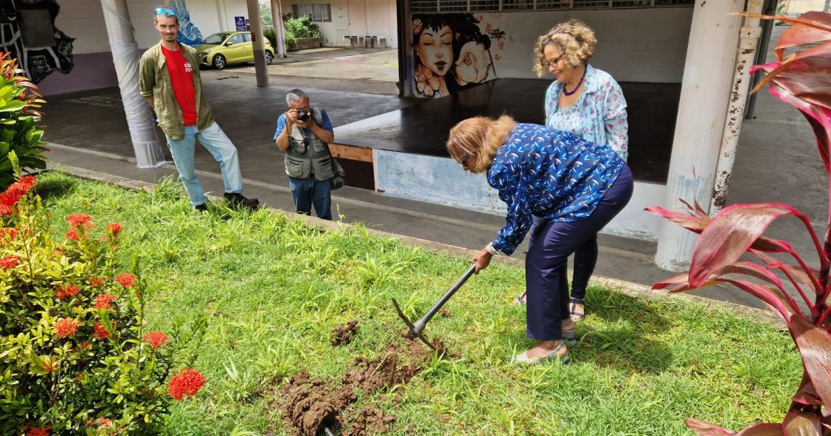     À la découverte de la flore endémique de Martinique avec le Conservatoire Botanique


