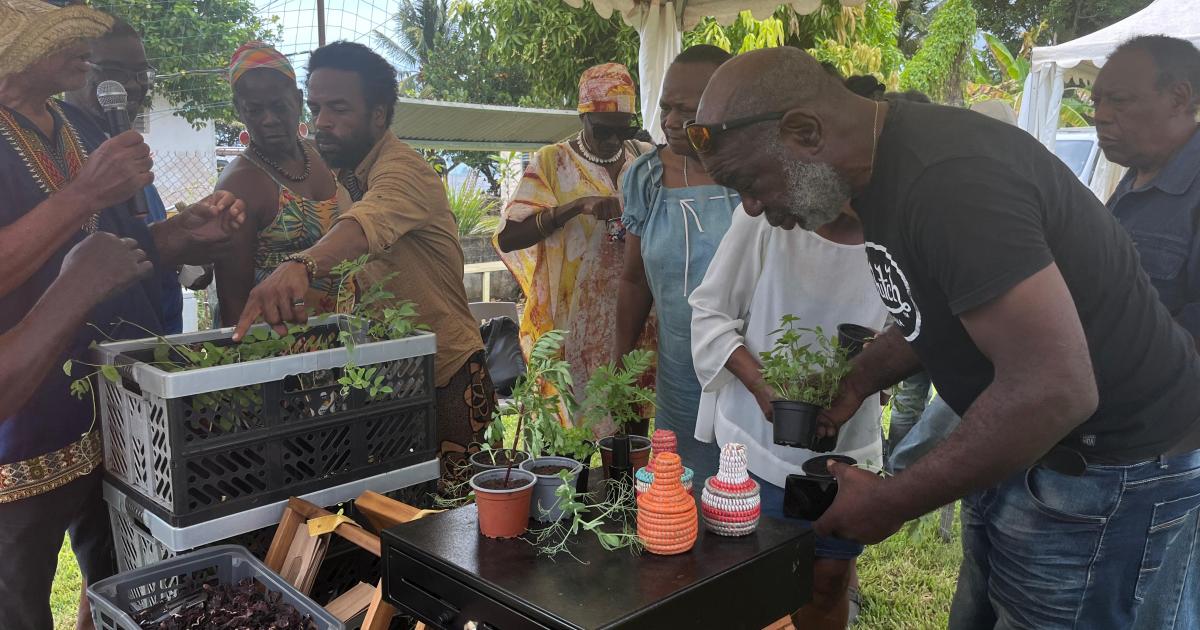     Au Robert, le marché artisanal et agricole provoque l'enthousiasme des visiteurs

