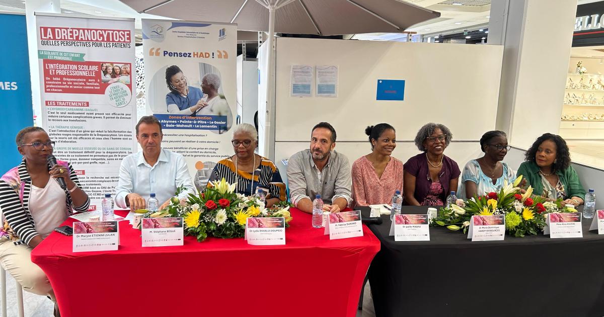     Drépanocytose : l’espoir grandit grâce aux avancées scientifiques


