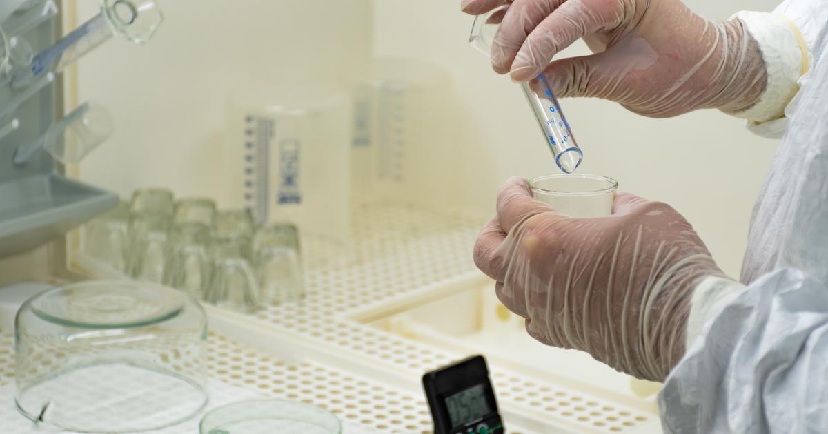     Le virus Oropouche (OROV) : une menace émergente pour la Guyane et les Antilles françaises

