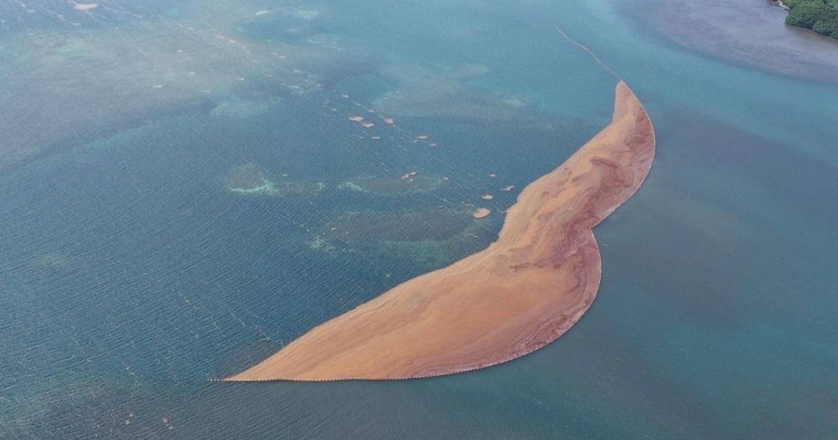     André Atallah propose de placer la gestion des sargasses sous un dispositif national

