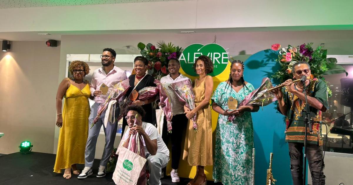     Qui sont les six talents martiniquais récompensés lors de la soirée des « Viré de l’année » ?

