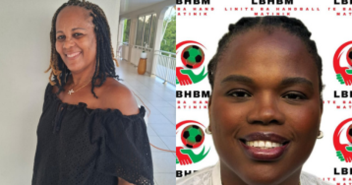     Élection à la Ligue de Handball Martinique : les candidats en lice sont maintenant connus

