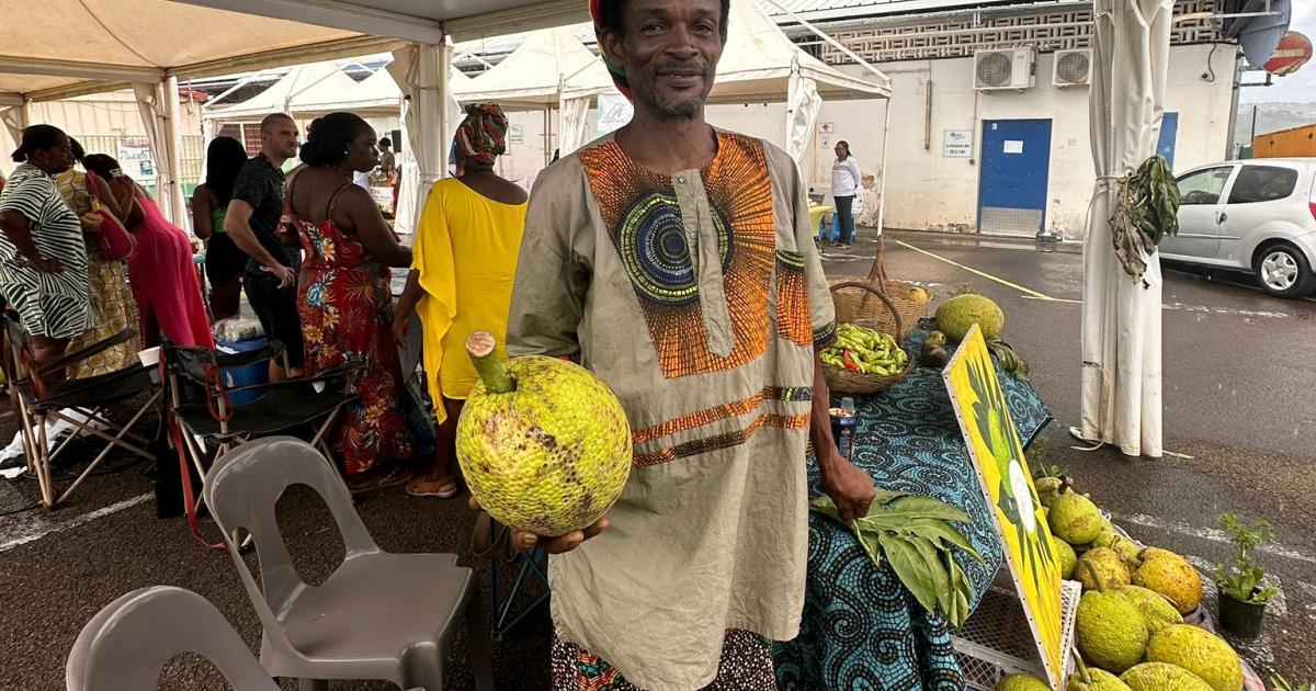     Le fruit à pain dans tous ses états à Ducos

