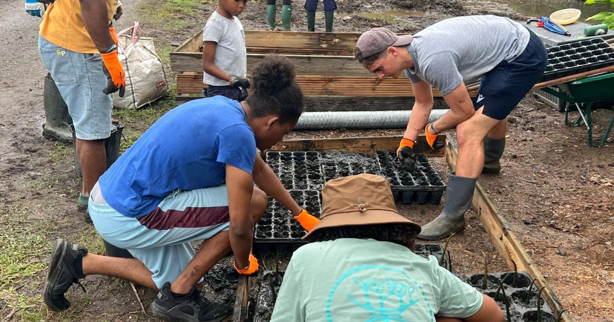     La Mangrove week, une semaine de découverte et de sensibilisation à ce précieux écosystème

